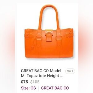 Orange Women's Handbag